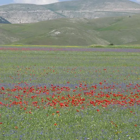 Vakantiehuis Casa Edera Montelparo