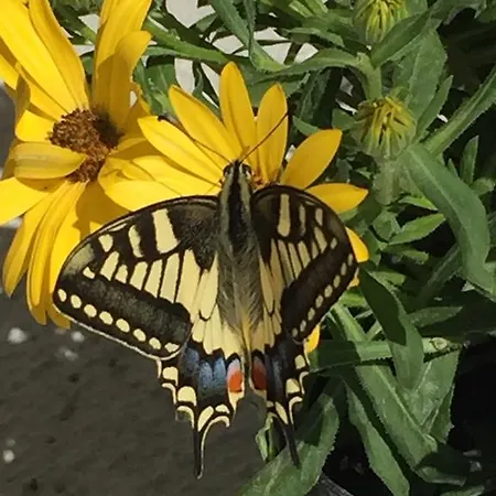 Casa Edera Vakantiehuis *