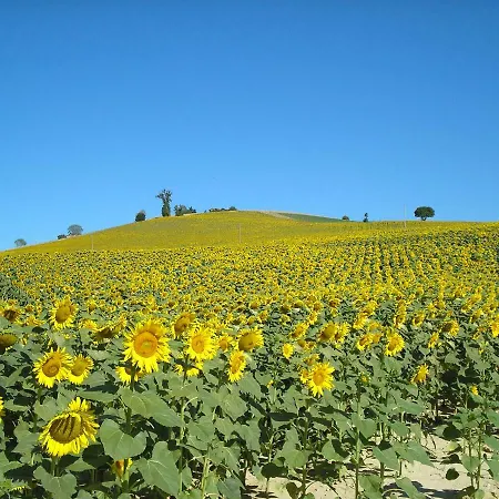 Casa Edera Дом отдыха