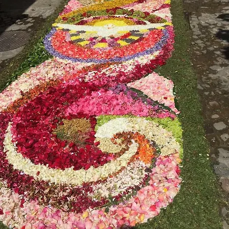 Vakantiehuis Casa Edera *