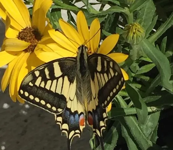 Casa Edera Дом отдыха *