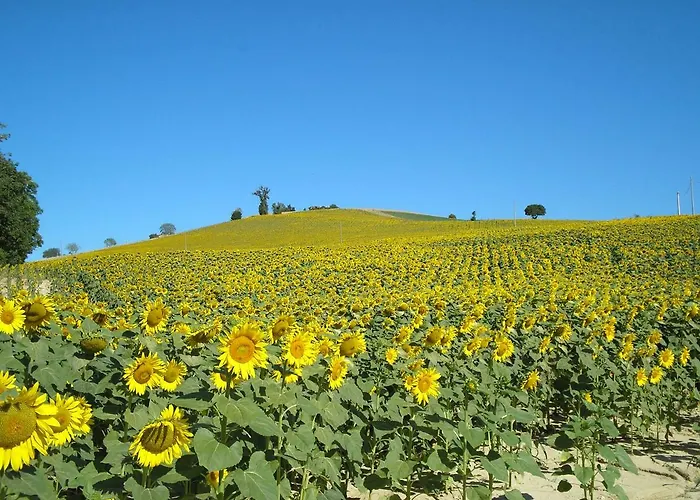Casa Edera Дом отдыха