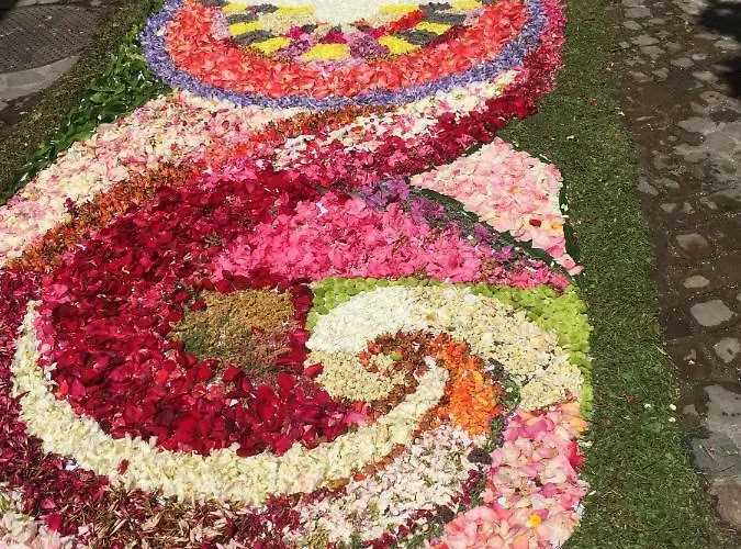 Дом отдыха Casa Edera *